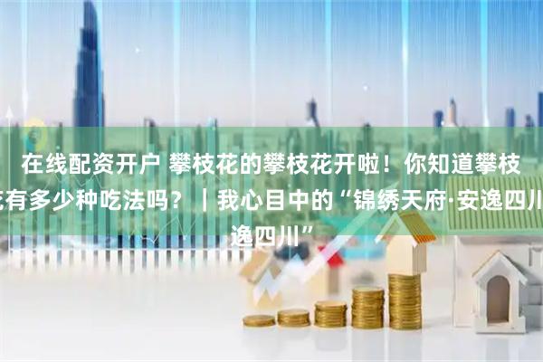 在线配资开户 攀枝花的攀枝花开啦！你知道攀枝花有多少种吃法吗？｜我心目中的“锦绣天府·安逸四川”